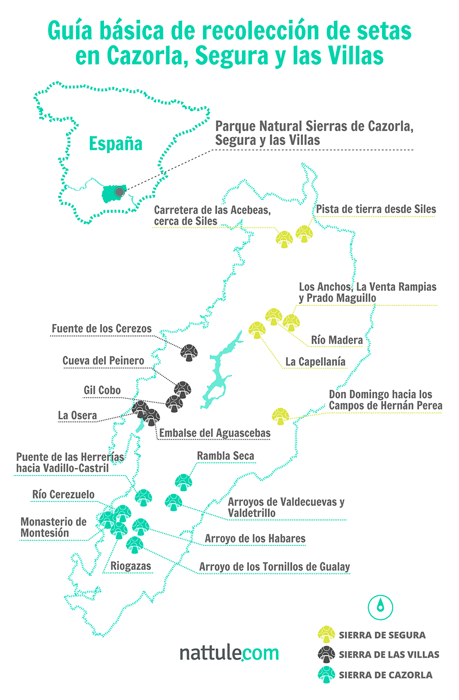 Guía básica de recolección de setas en Cazorla, Segura y las Villas