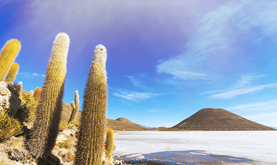 Salar de Uyuni Bolivia