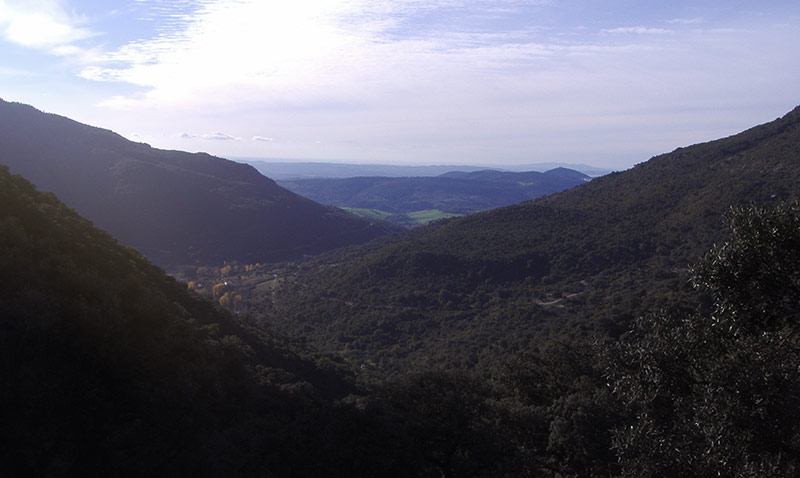 Pinsapar of the Sierra de Grazalema