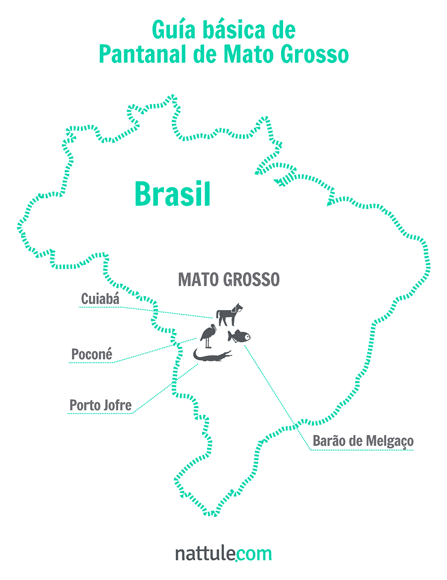 Guía básica de Pantanal de Mato Grosso
