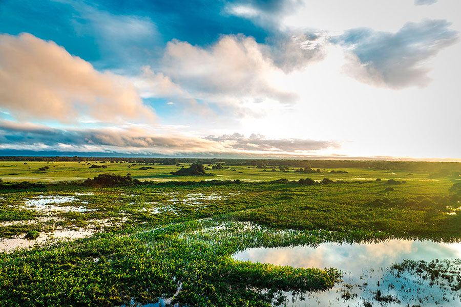Pantanal, the great wetland of Brazil
