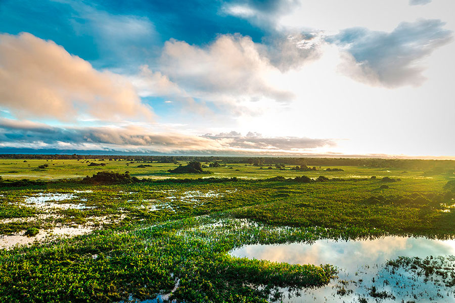 Pantanal, el gran humedal de Brasil