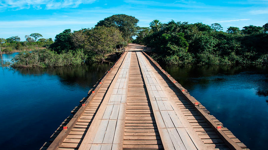 Los puentes de madera son distintivos de la Transpantaneira