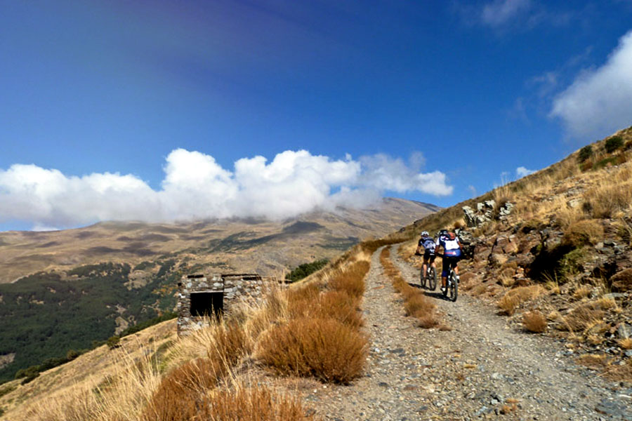 Cyclists in Sierra Nevada