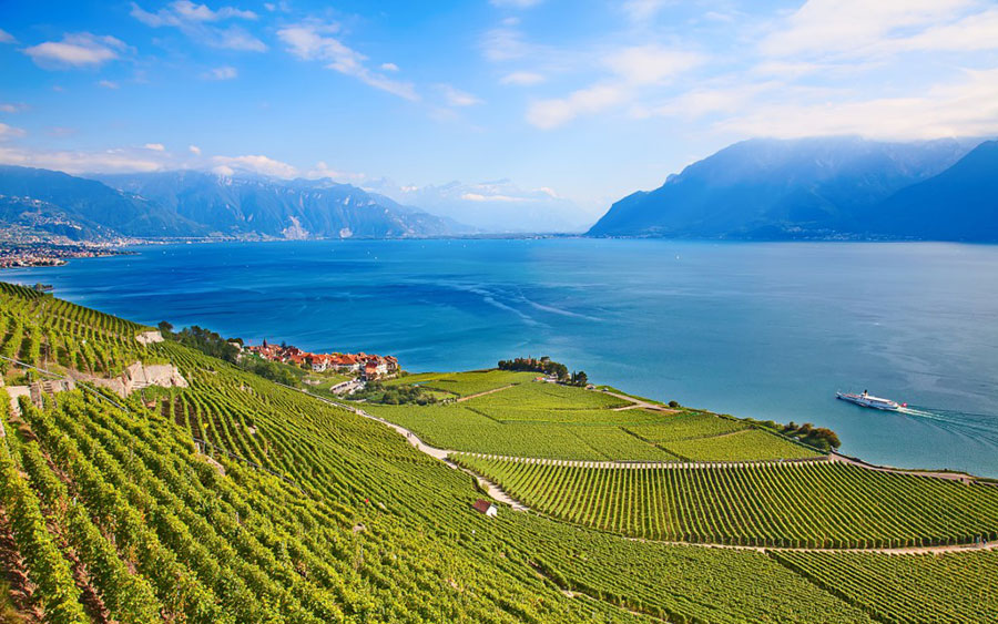 Lavaux vineyards next to Lake Geneva