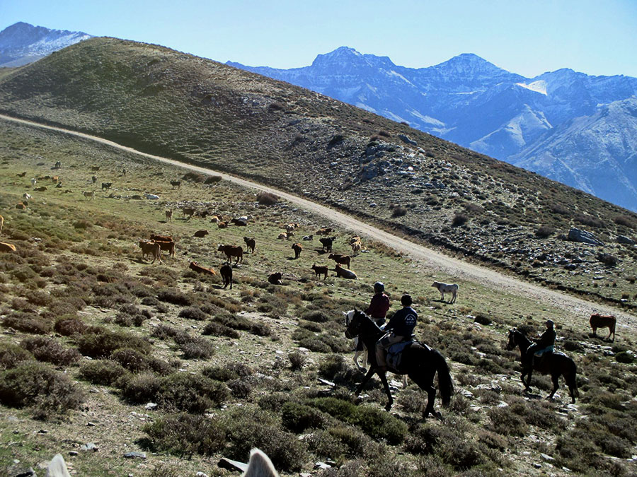 Horseback riding route through Sierra Nevada