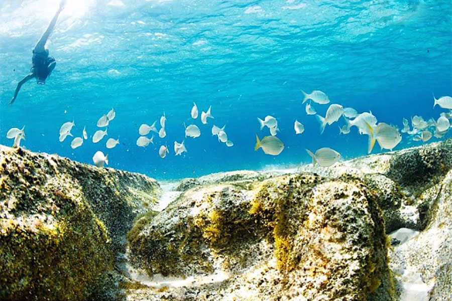 Seabed of La Graciosa