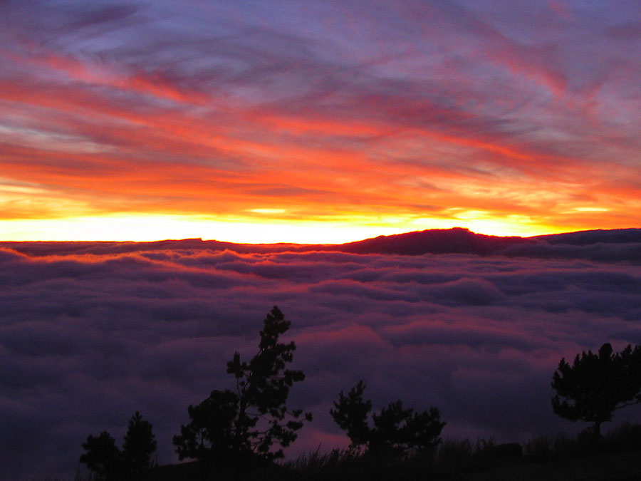 Sunset in Sierra Nevada