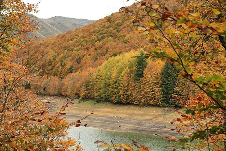 The colors of autumn in Irati