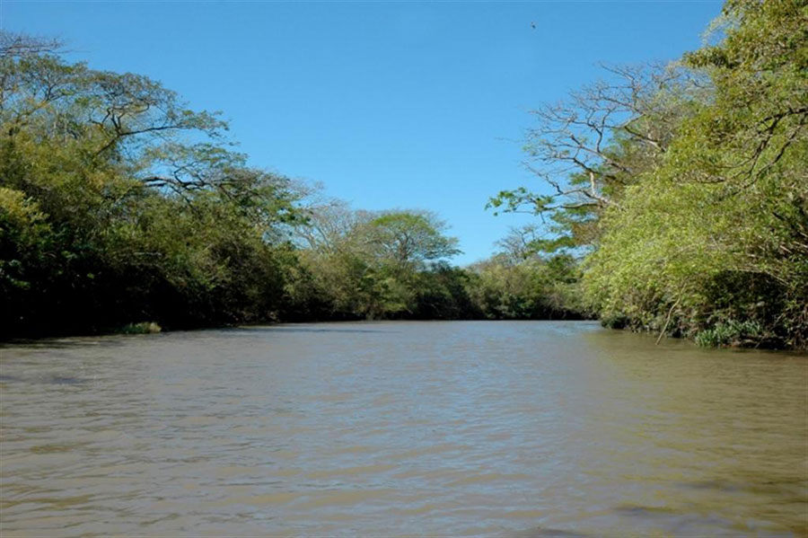 The Tempisque River as it passes through Palo Verde