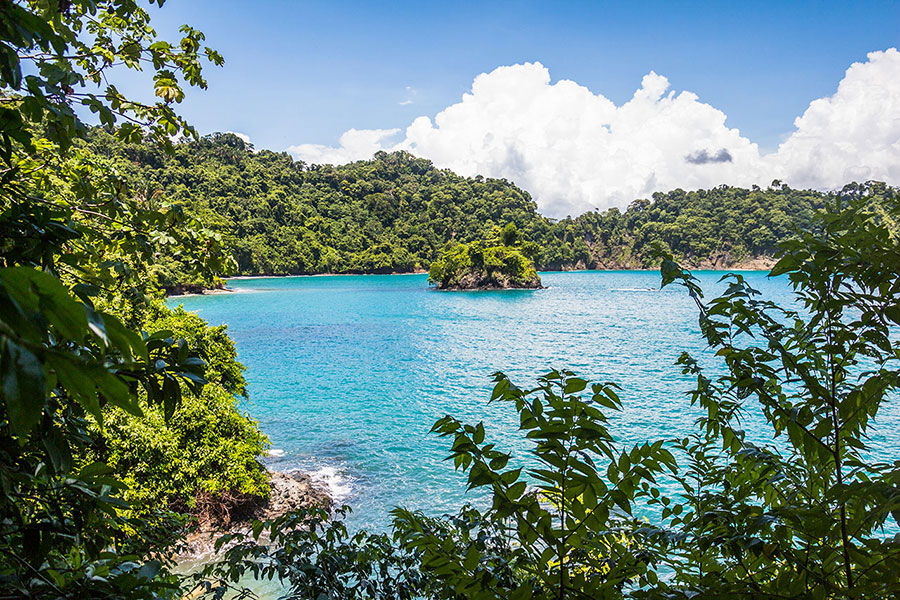 The wild beauty of Manuel Antonio National Park