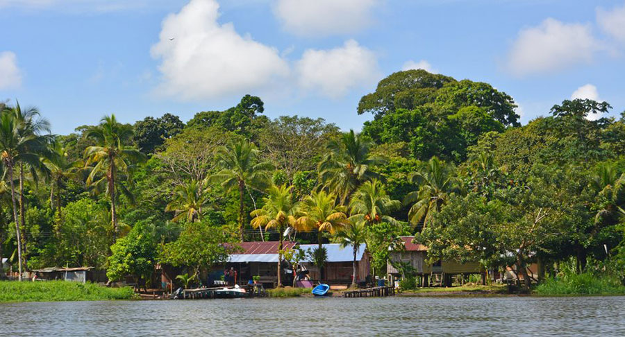 Exuberante naturaleza virgen en Tortuguero