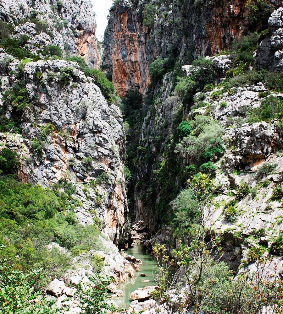 Buitreras Canyon