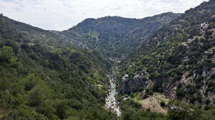 Buitreas Canyon (Málaga)