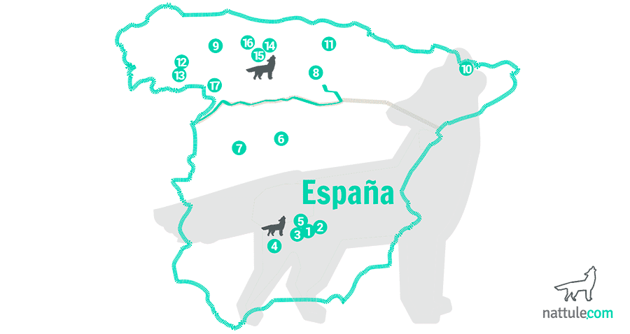 avistamientos de lobos en teruel