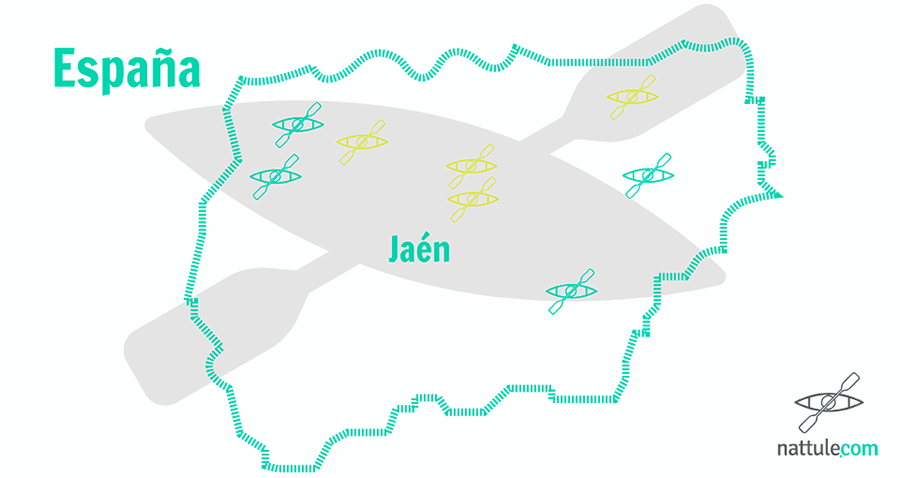 The navigable swamps in Jaén