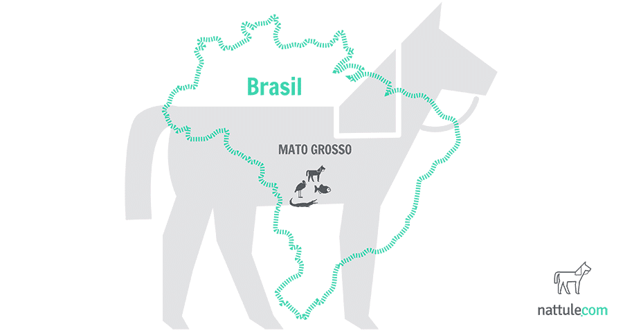Qué ver en Brasil: 140 kilómetros de la aventura más salvaje