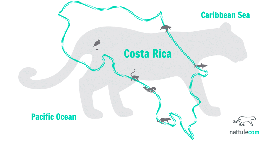 6 Faunal Paradises in Costa Rica: the Living Laboratory