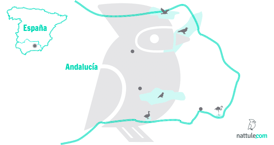 5 santuarios naturales de Andalucía Oriental para entusiastas de las aves