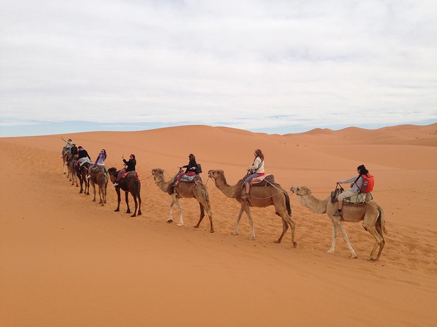 Morocco-camel-desert
