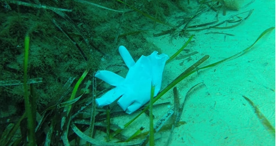 Mascarillas y guantes: el nuevo virus de los océanos