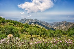 Viajes y experiencias de aventura con Naturanda